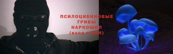 мескалин Ладушкин