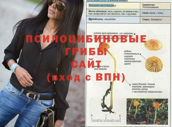 кокс Лагань