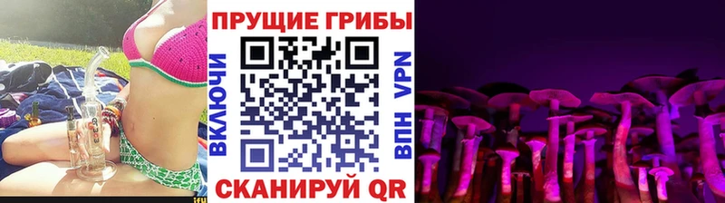 Купить  Дорогобуж  Галлюциногенные грибы ЛСД 